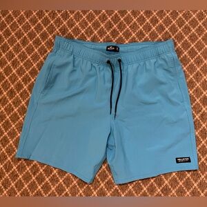 Hollister Men's Light Blue Athletic Shorts